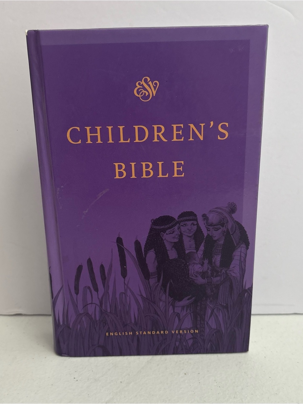 ESV Children's Bible Hardcover Purple Hardcover Esv Bibles